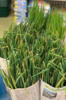 農家様の獲れたて野菜